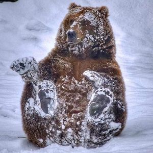 Meet your Posher, Daryl